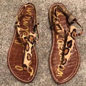 Leopard Print Sam Edelman Gigi Thong Sandal